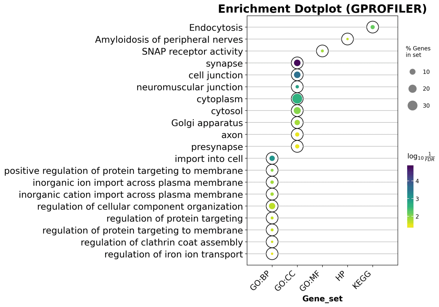 Dot Plot Functional Enrichment